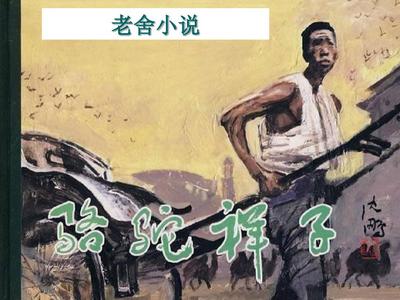 深入了解 求个网站直接能看的2025
